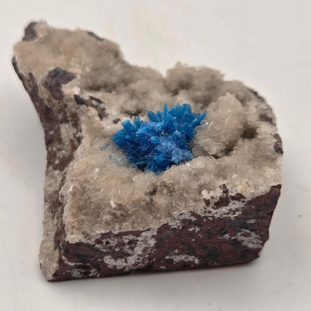 Vivid blue cavansite rosettes on zeolite matrix, natural mineral specimen from Wagholi, India