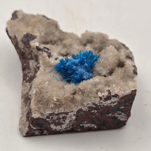 Vivid blue cavansite rosettes on zeolite matrix, natural mineral specimen from Wagholi, India