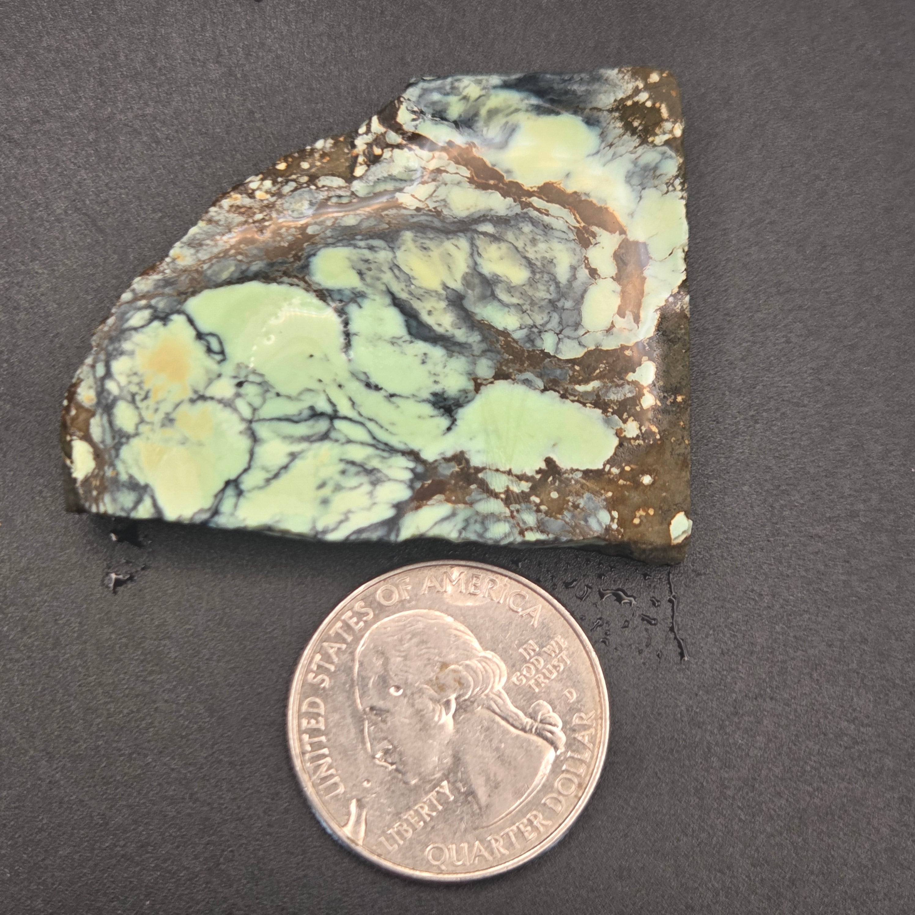 Angel Wing Variscite 20.28 grams