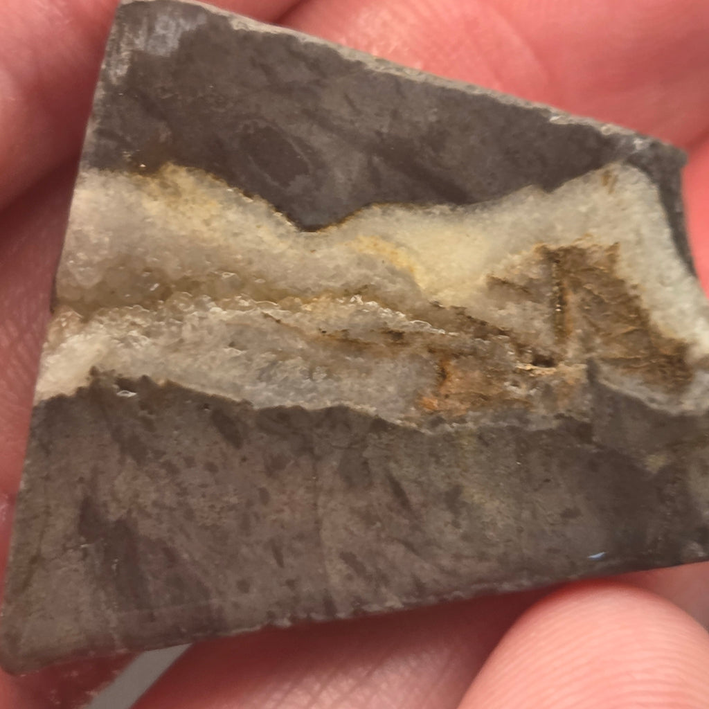 Native Gold in Quartz, McLaughlin Mine, California, 10.05 grams — natural mineral specimen