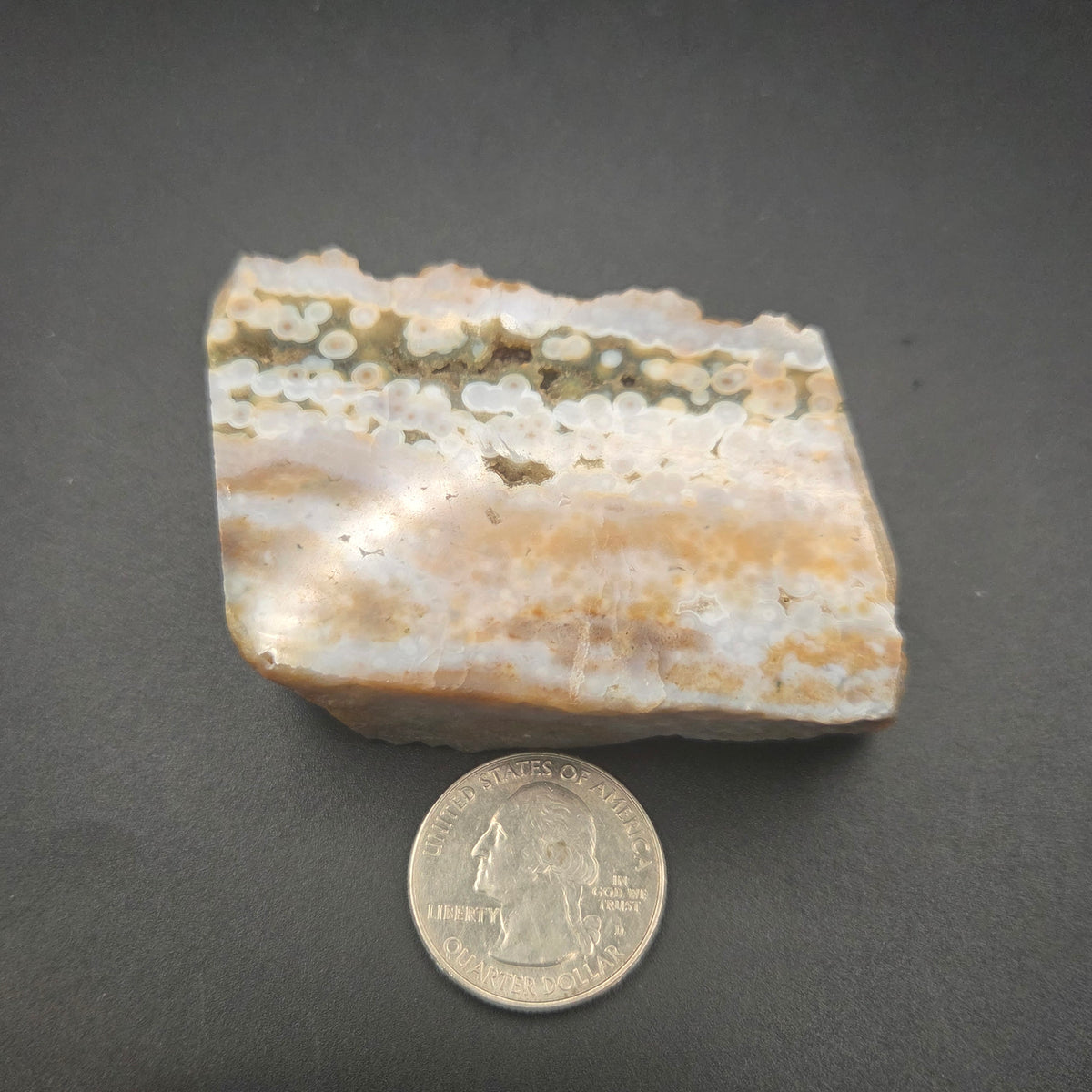 Detail of Polished Ocean Jasper Slab