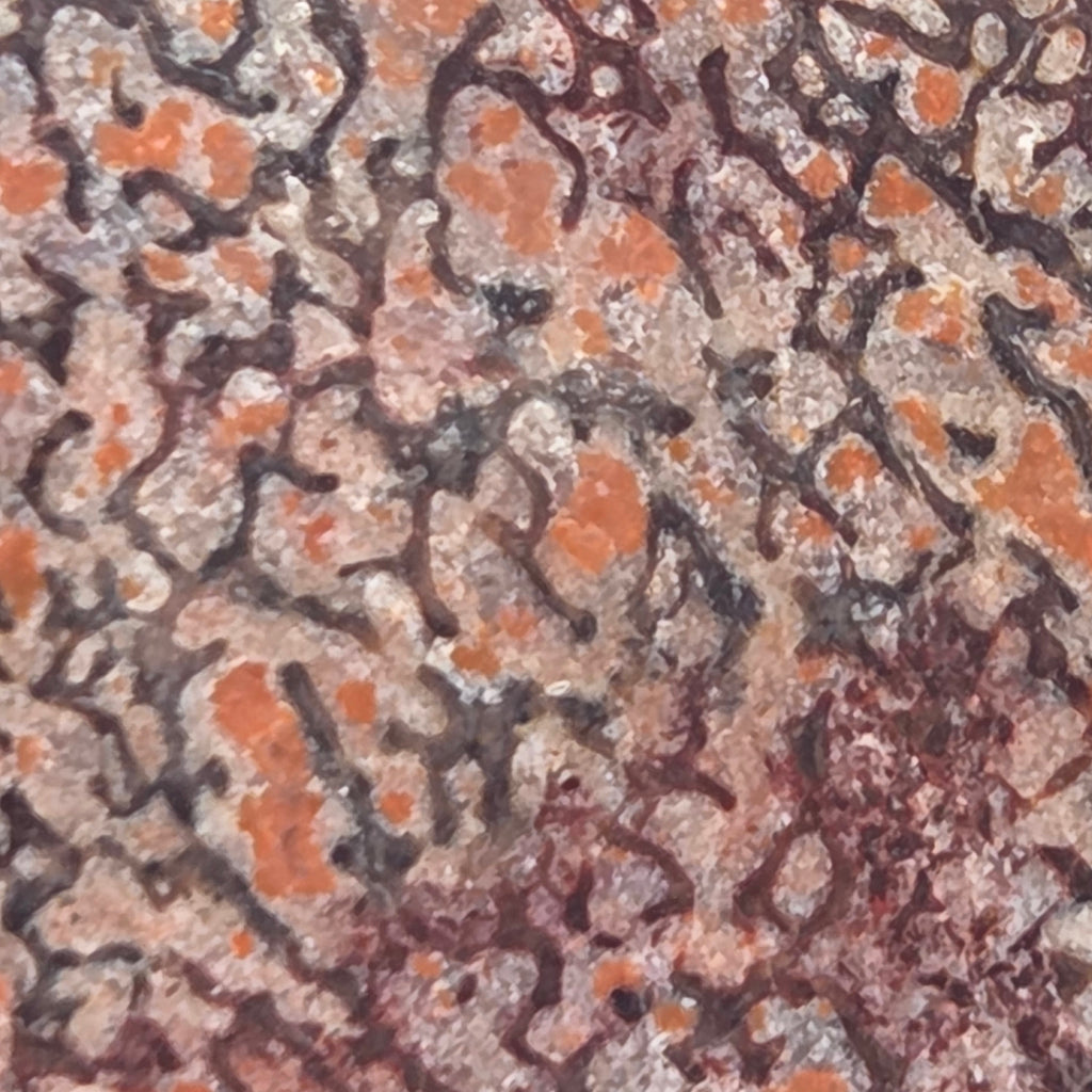 Close-up of Gem Bone Slabettes 53 grams total