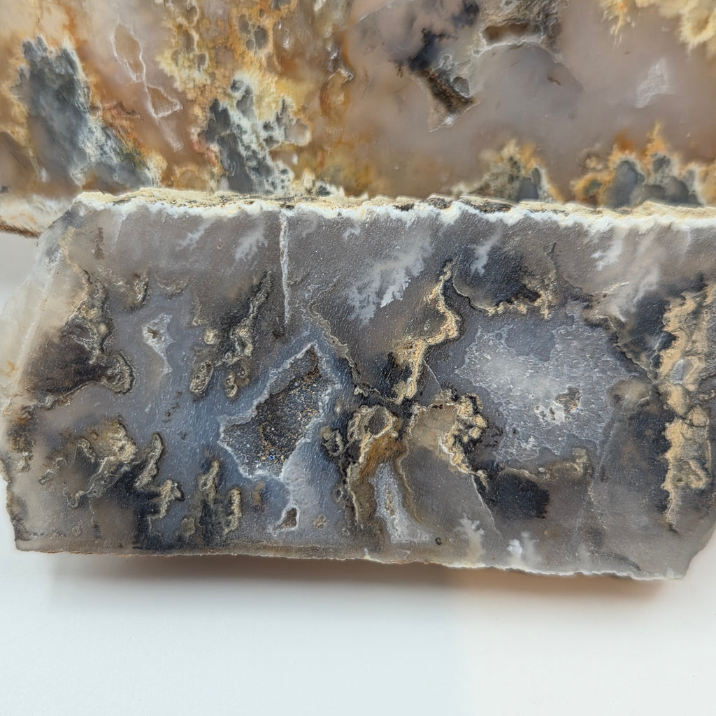 Close-up of Graveyard Point Plume Agate Slabs