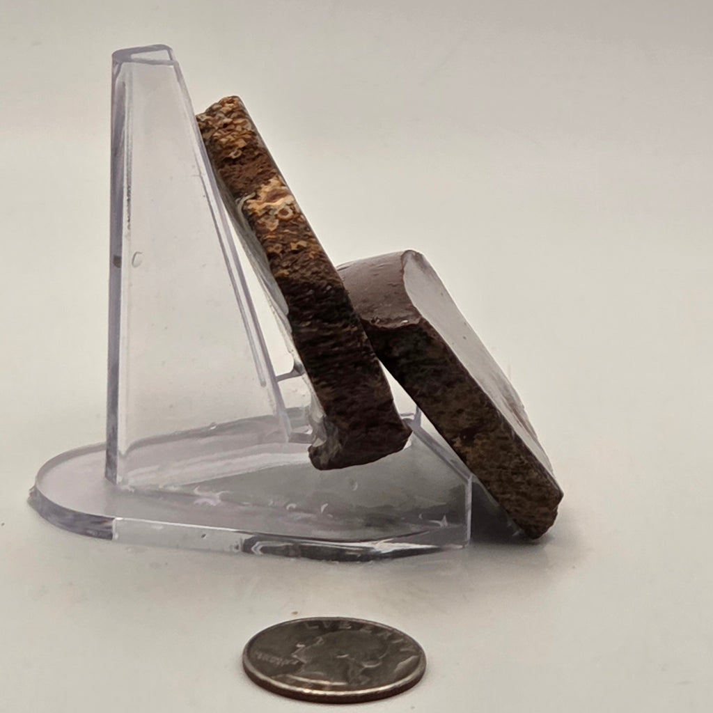 Gem Bone Slabettes 107 grams total, additional view