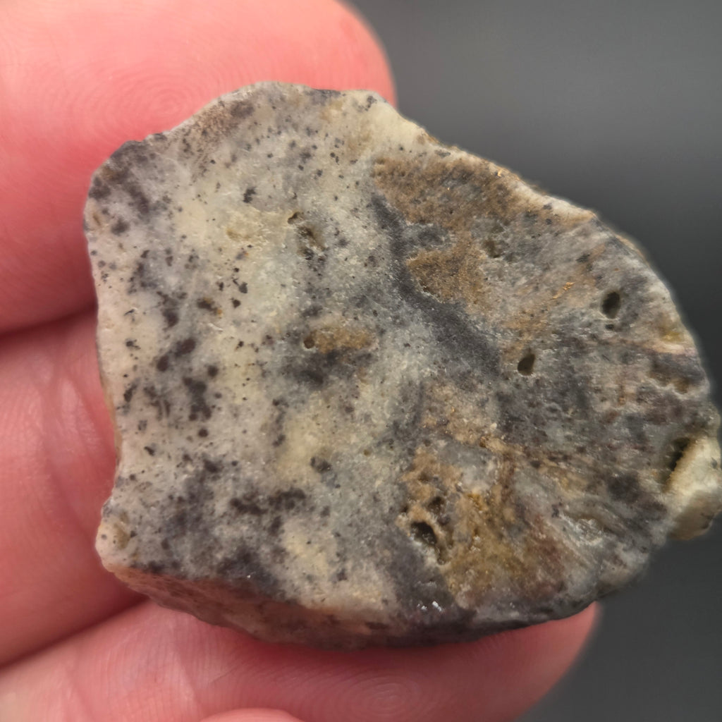 Native Gold in Quartz, McLaughlin Mine, California, 10.73 grams — natural mineral specimen