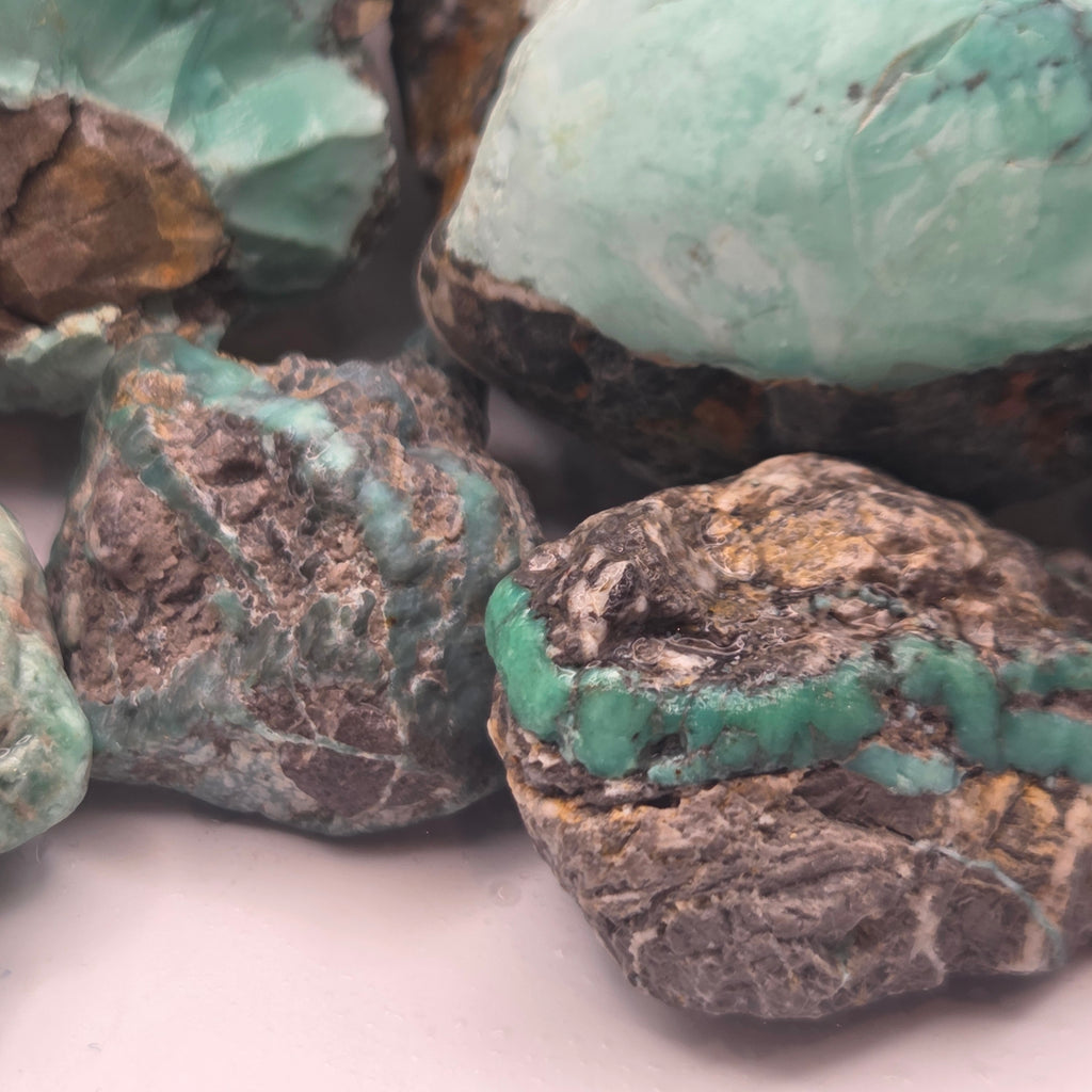 Detail of Broken Arrow Variscite Pseudomorph Clams