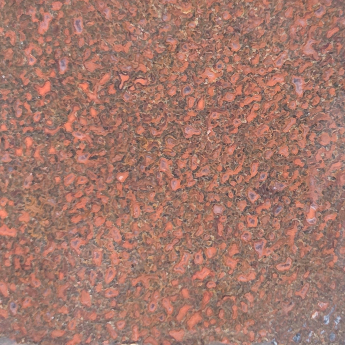 Alternate view of Gem Bone Slabettes 107 grams total