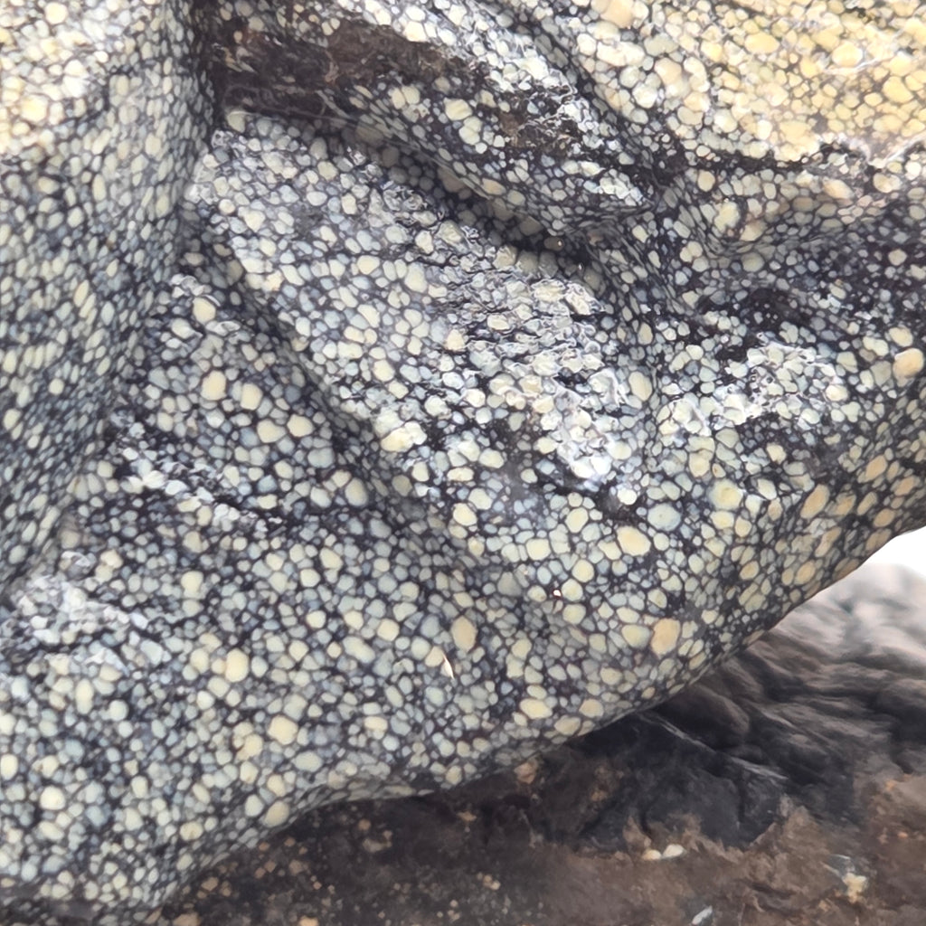 Detail of Old Stock New Lander Variscite