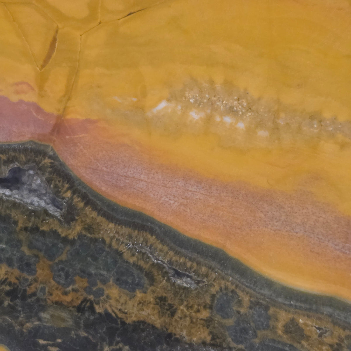 Detail of circular eye formations in orbicular jasper