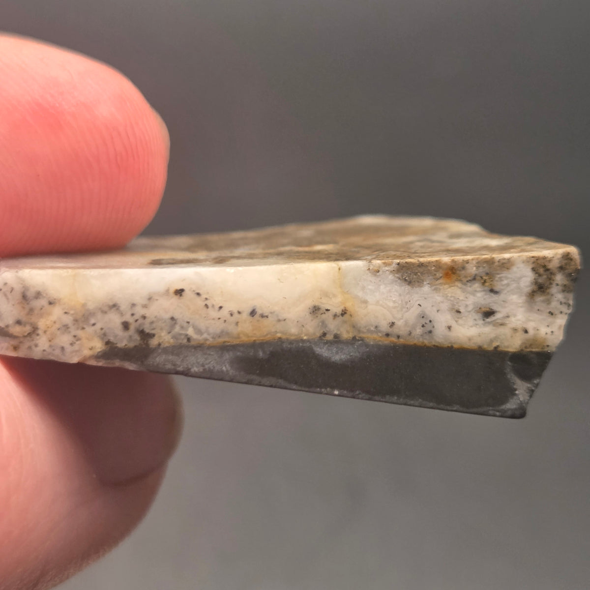 Native Gold in Quartz, McLaughlin Mine, California, additional view
