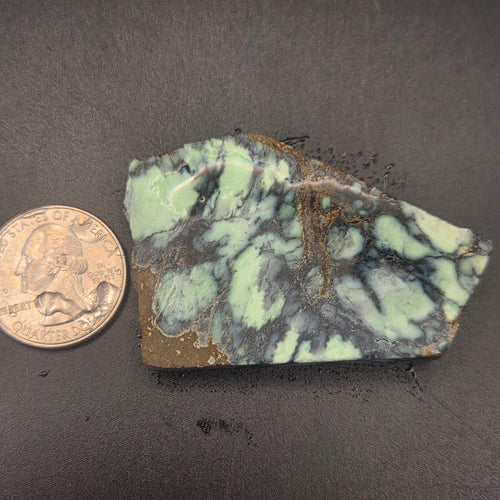 Angel Wing Variscite 28.40 Grams