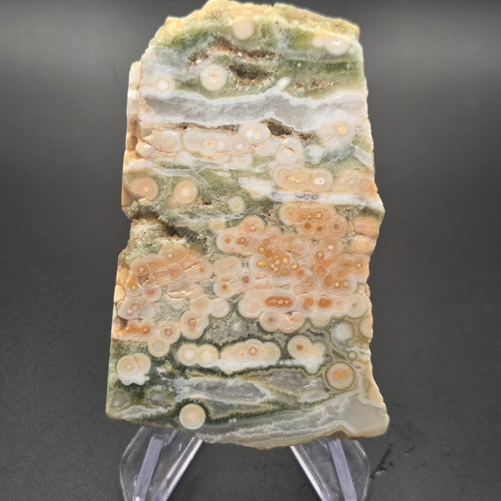 Close-up of Polished Ocean Jasper Slab