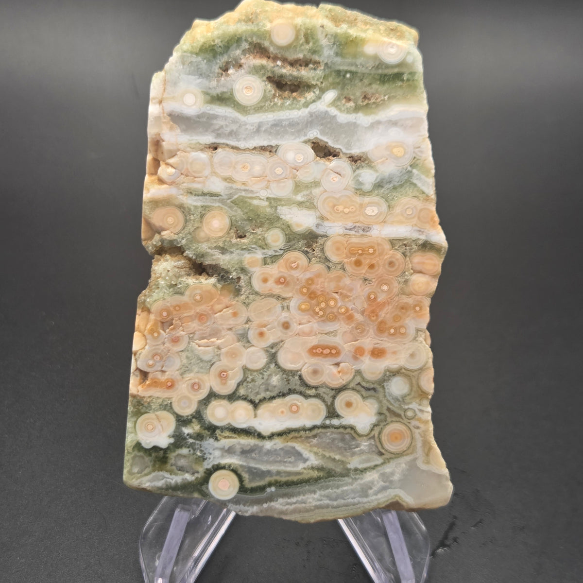 Close-up of Polished Ocean Jasper Slab