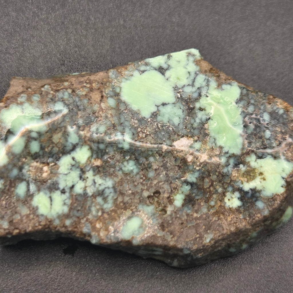 Close-up of Angel Wing Variscite