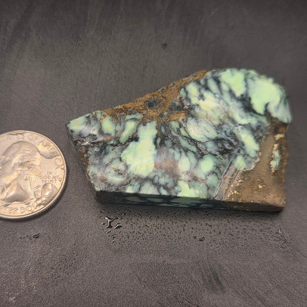 Angel Wing Variscite, 28.40 grams — natural mineral specimen