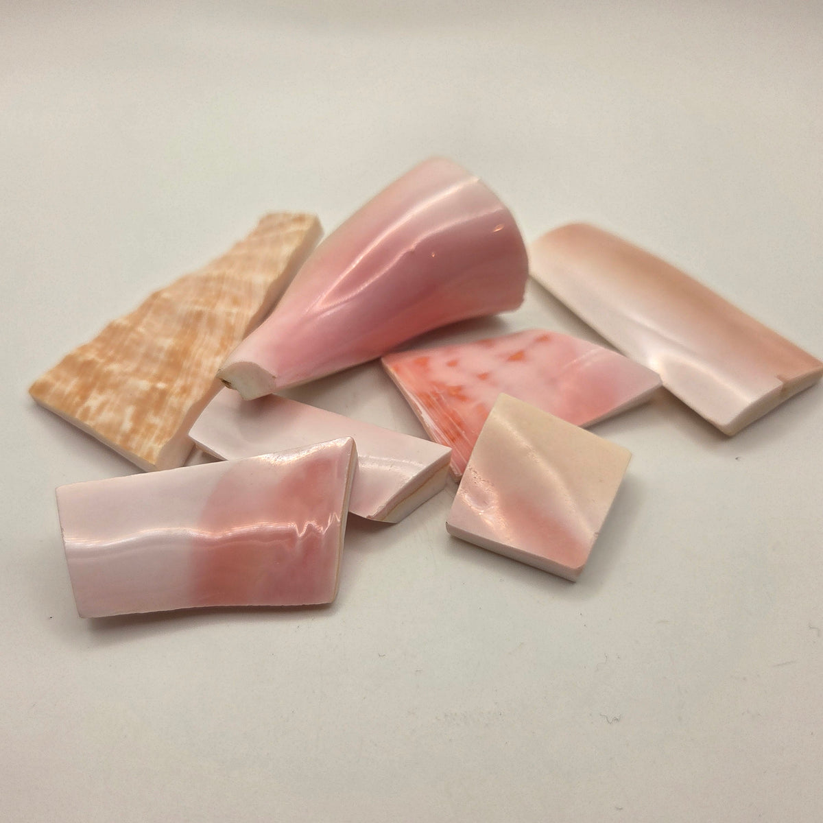 Pink Conch Shell Lapidary Rough (Sold by the Gram) — lapidary rough