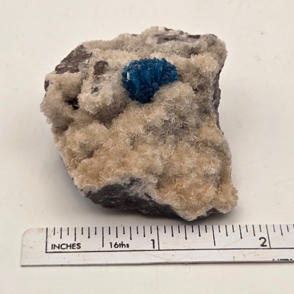 Side view of natural cavansite mineral specimen from India showing vivid blue crystals