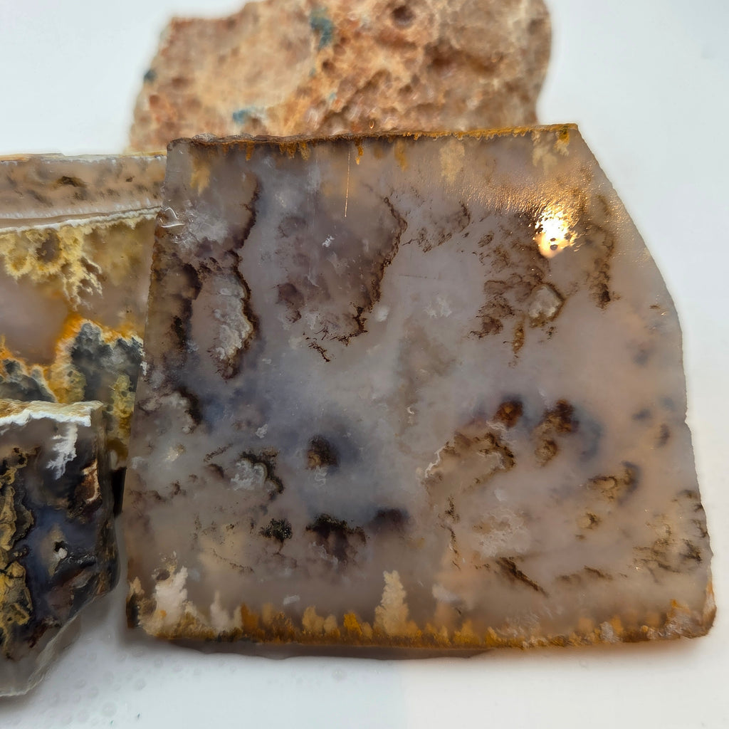Detail of Graveyard Point Plume Agate Slabs