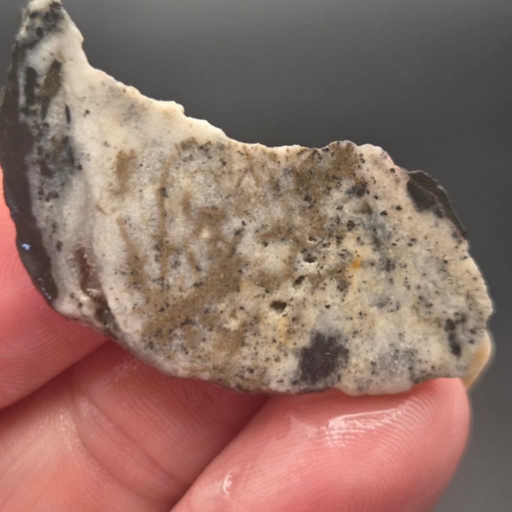 Native Gold in Quartz, McLaughlin Mine, California, 4.67 grams — natural mineral specimen