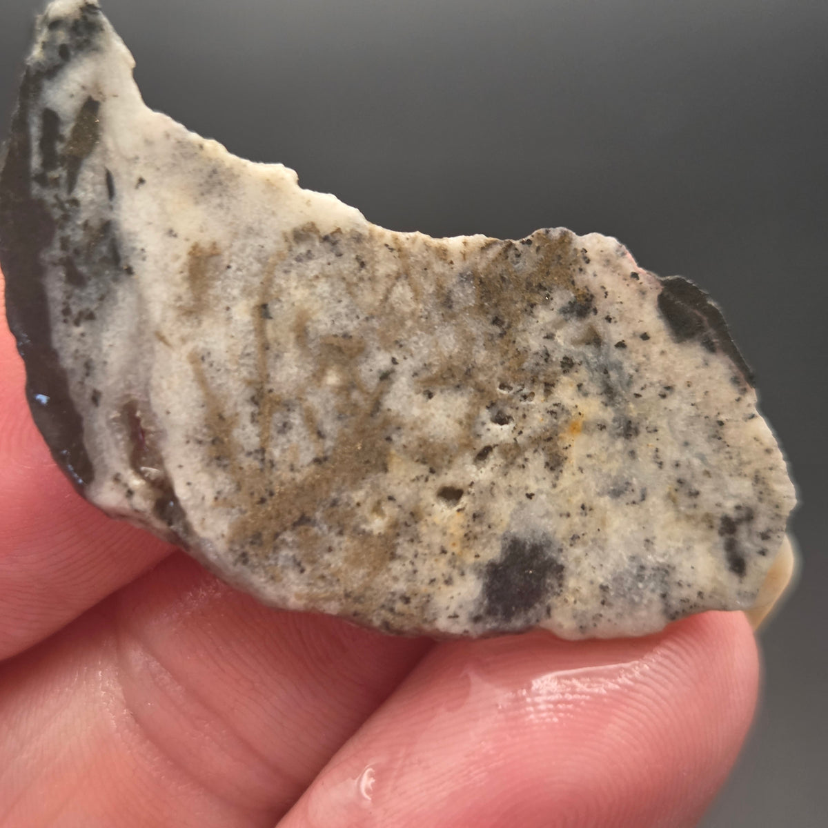 Native Gold in Quartz, McLaughlin Mine, California, 4.67 grams — natural mineral specimen