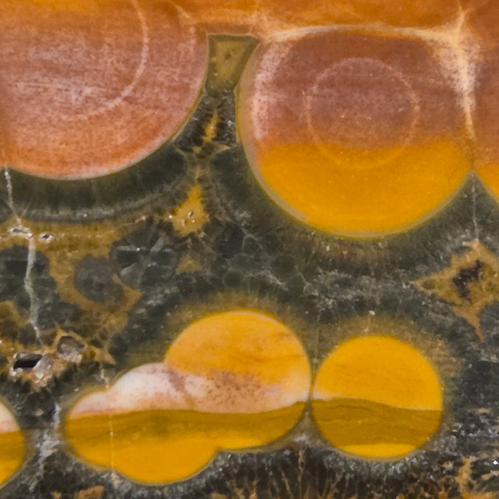 Back view of polished Kambaby Ocean Jasper slab from Madagascar