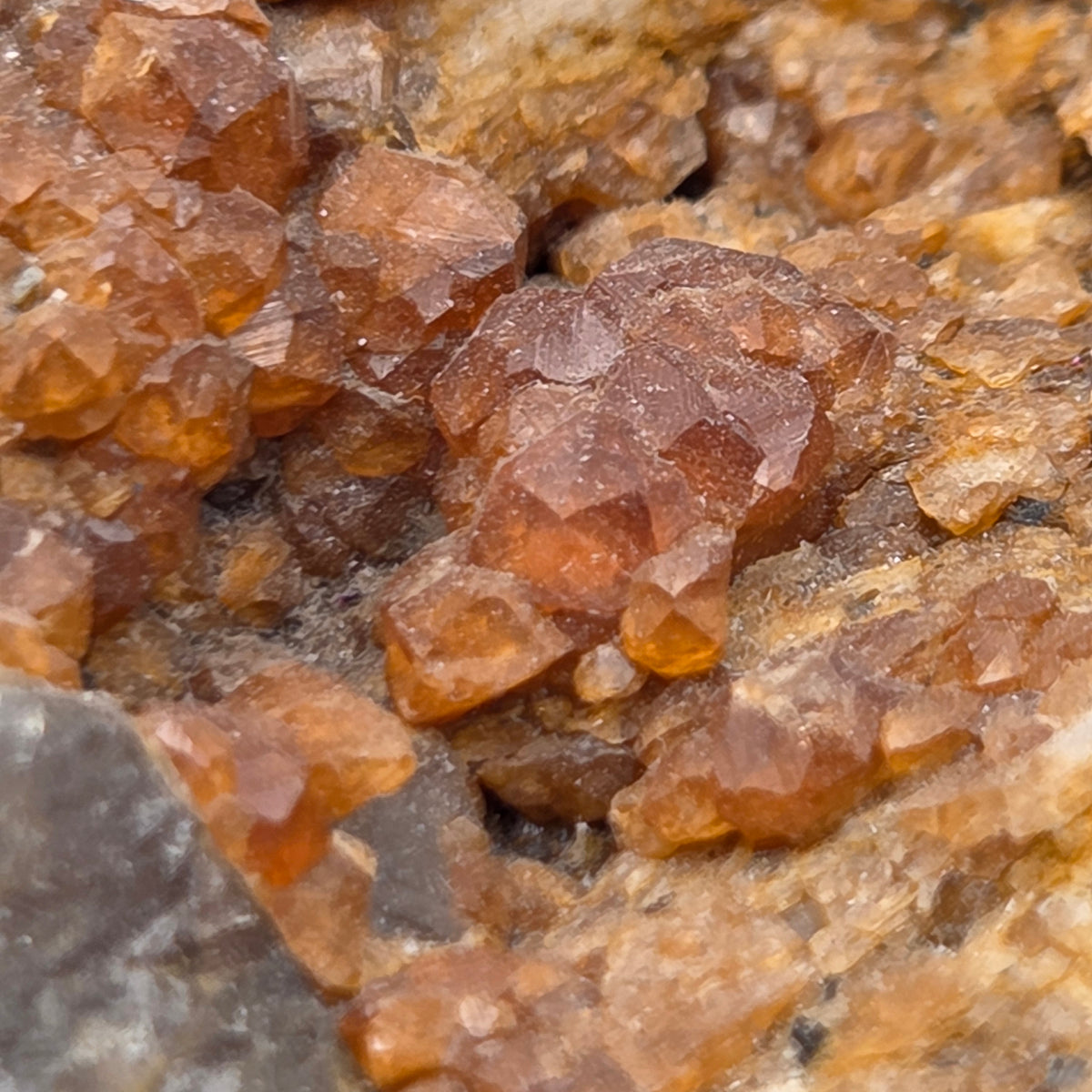 Small spessartine garnet on smoky quartz display specimen