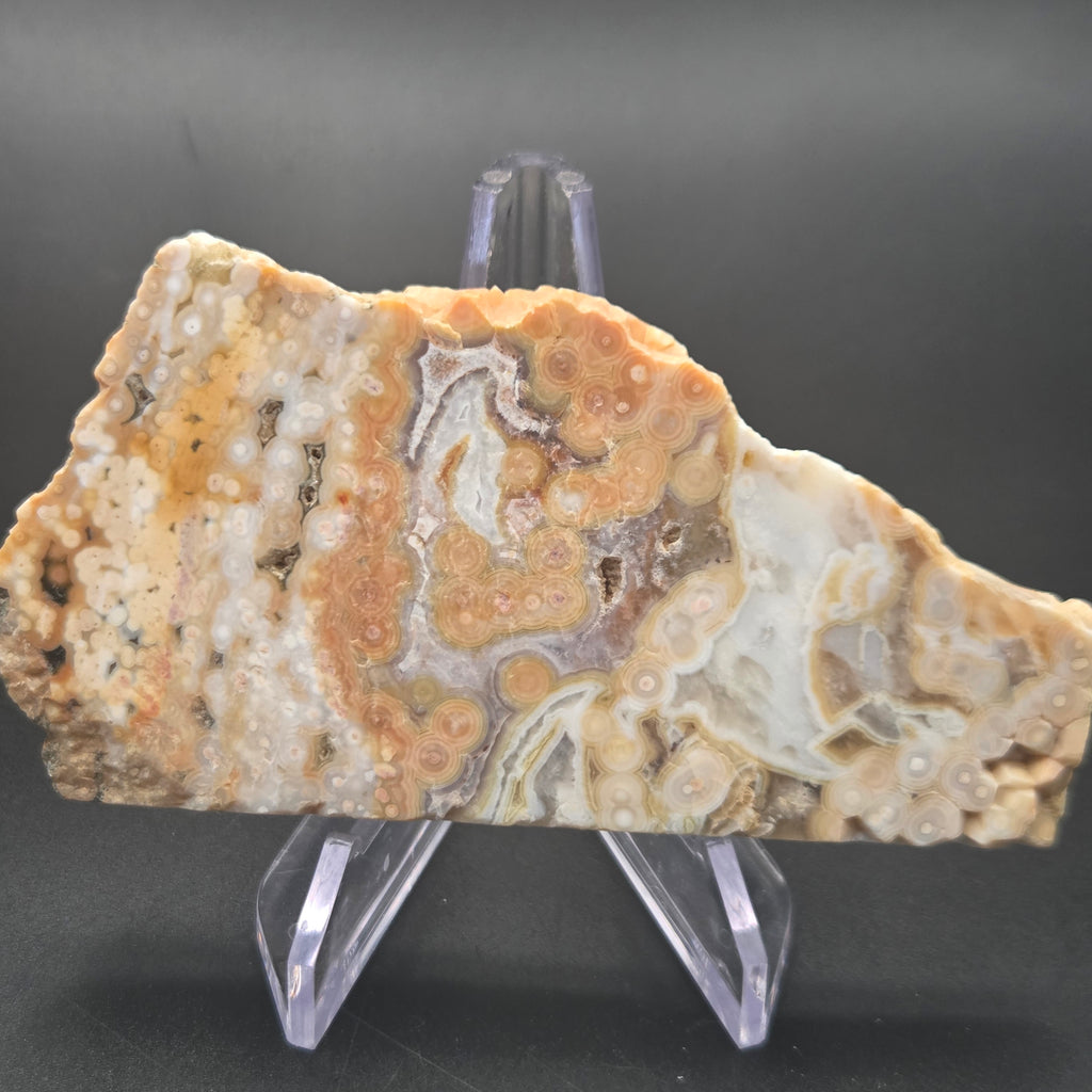Polished Ocean Jasper Slab, 119.41 grams — polished slab