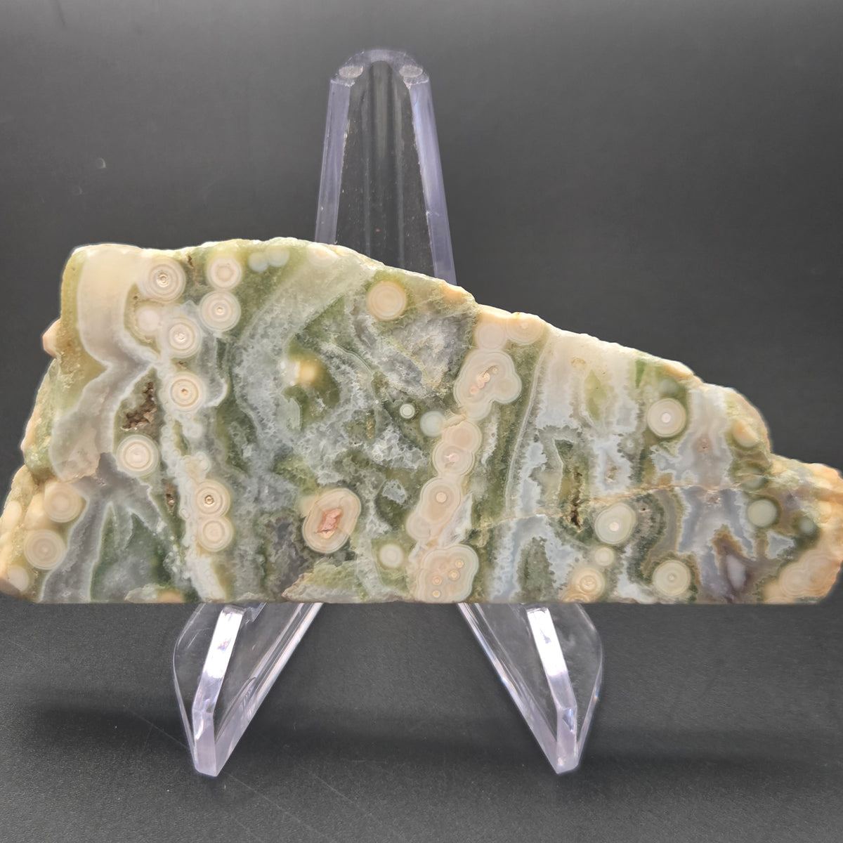 Polished Ocean Jasper Slab, 72.09 grams — polished slab