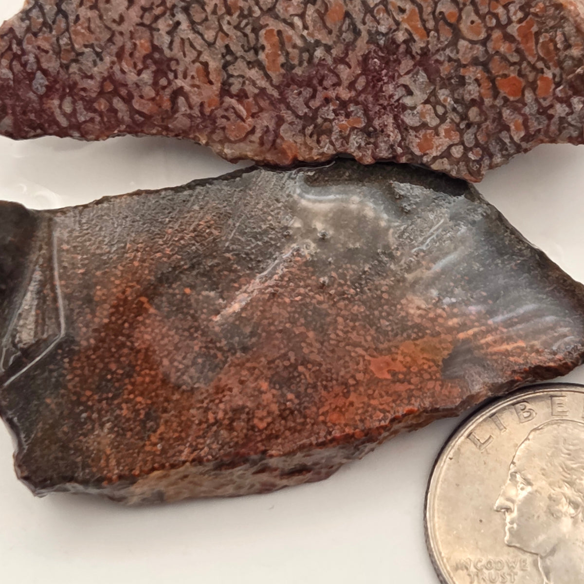 Gem Bone Slabettes 53 grams total, additional view