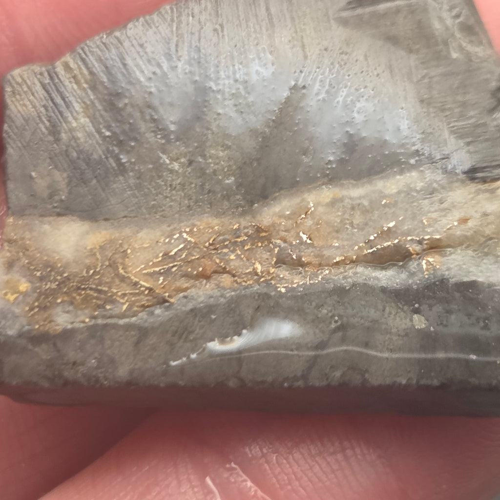 Detail of Native Gold in Quartz, McLaughlin Mine, California