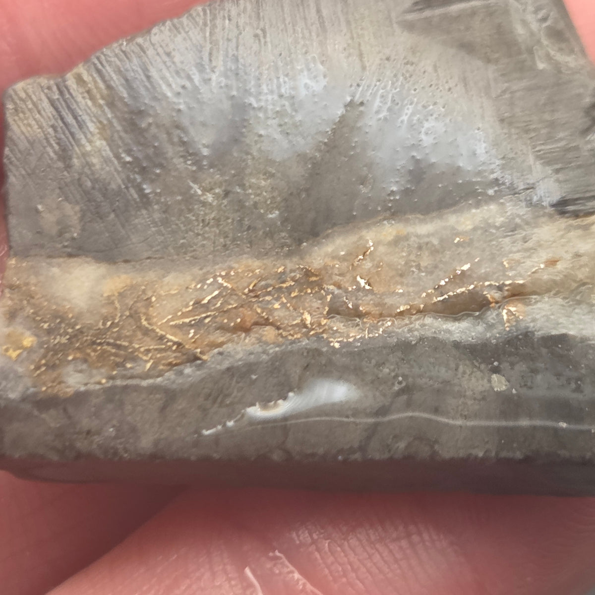 Detail of Native Gold in Quartz, McLaughlin Mine, California