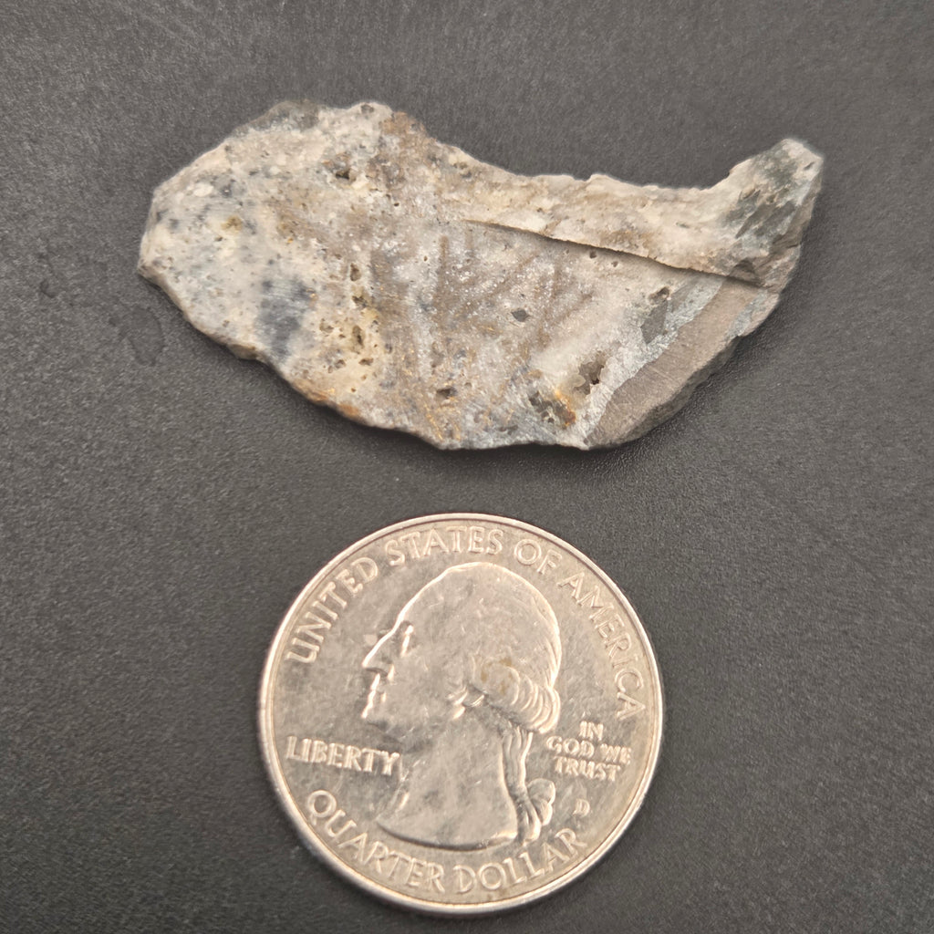 Detail of Native Gold in Quartz, McLaughlin Mine, California
