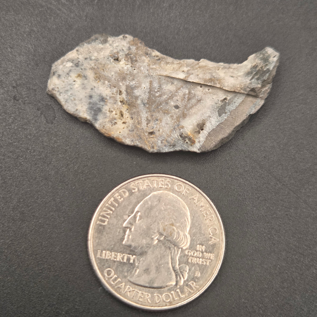 Detail of Native Gold in Quartz, McLaughlin Mine, California
