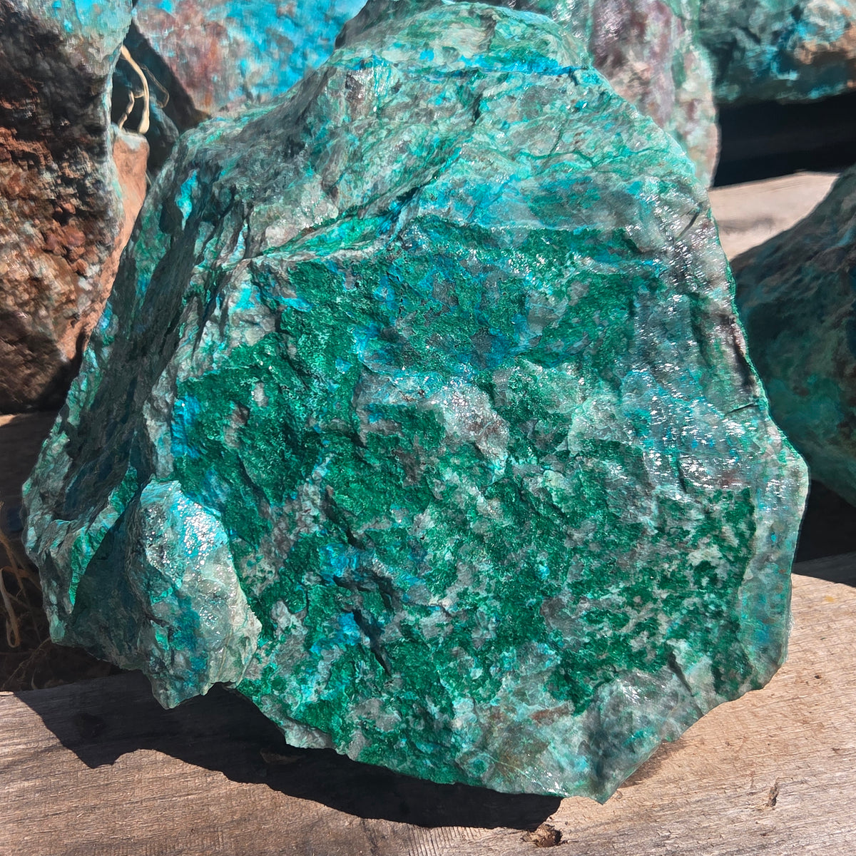Sonoran Chrysocolla (Sold by the Pound), large cutters — lapidary rough