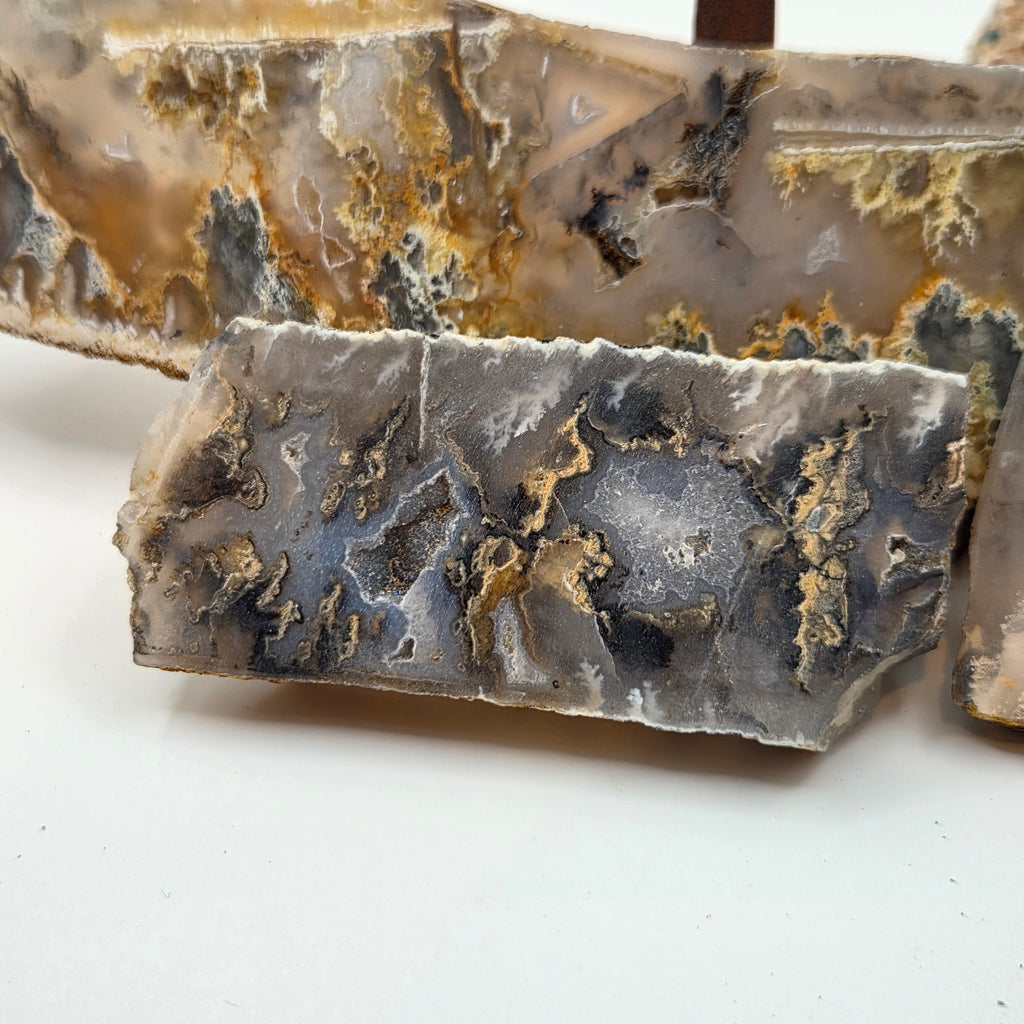 Graveyard Point Plume Agate Slabs (Sold by the Gram) — polished slab