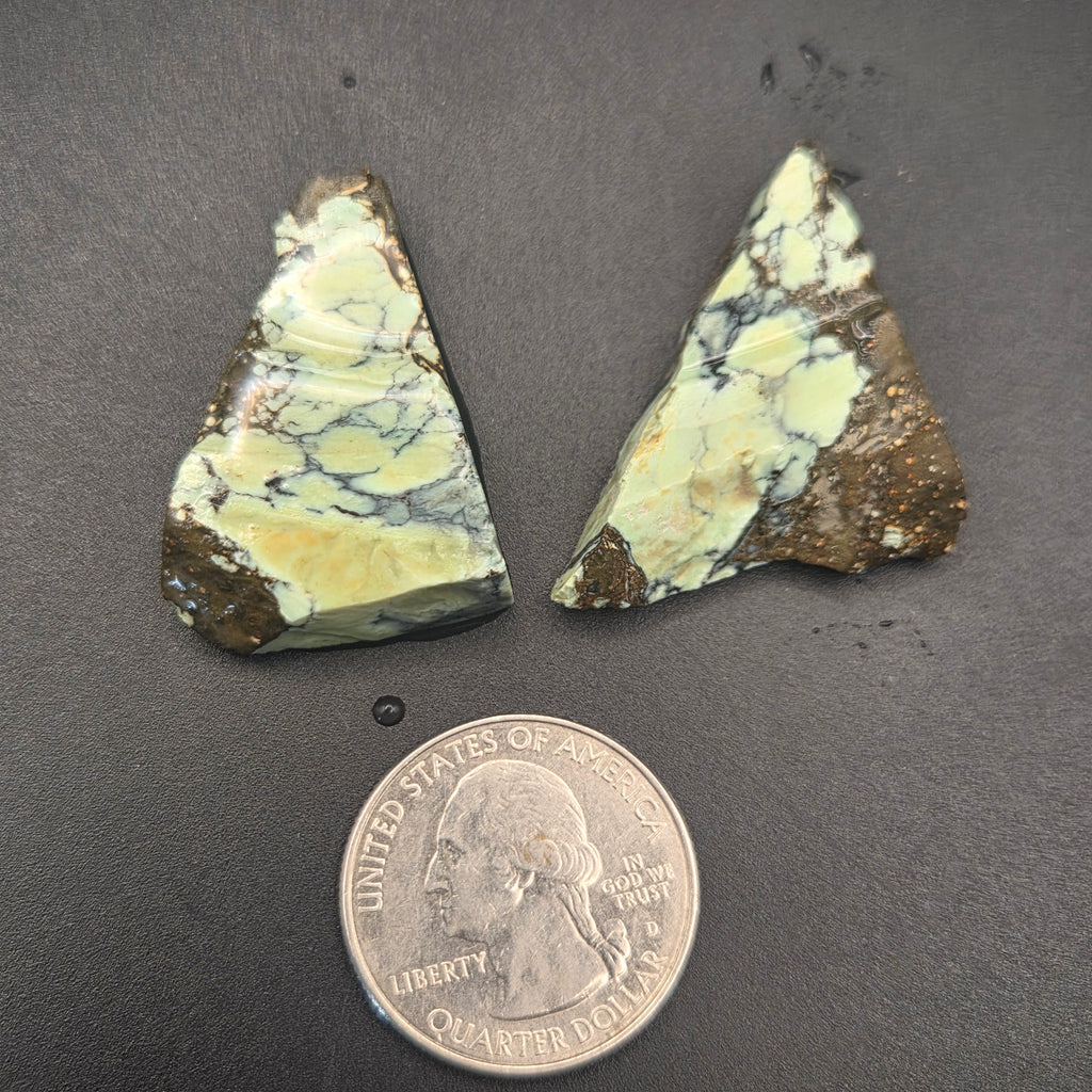 Close-up of Angel Wing Variscite Pair