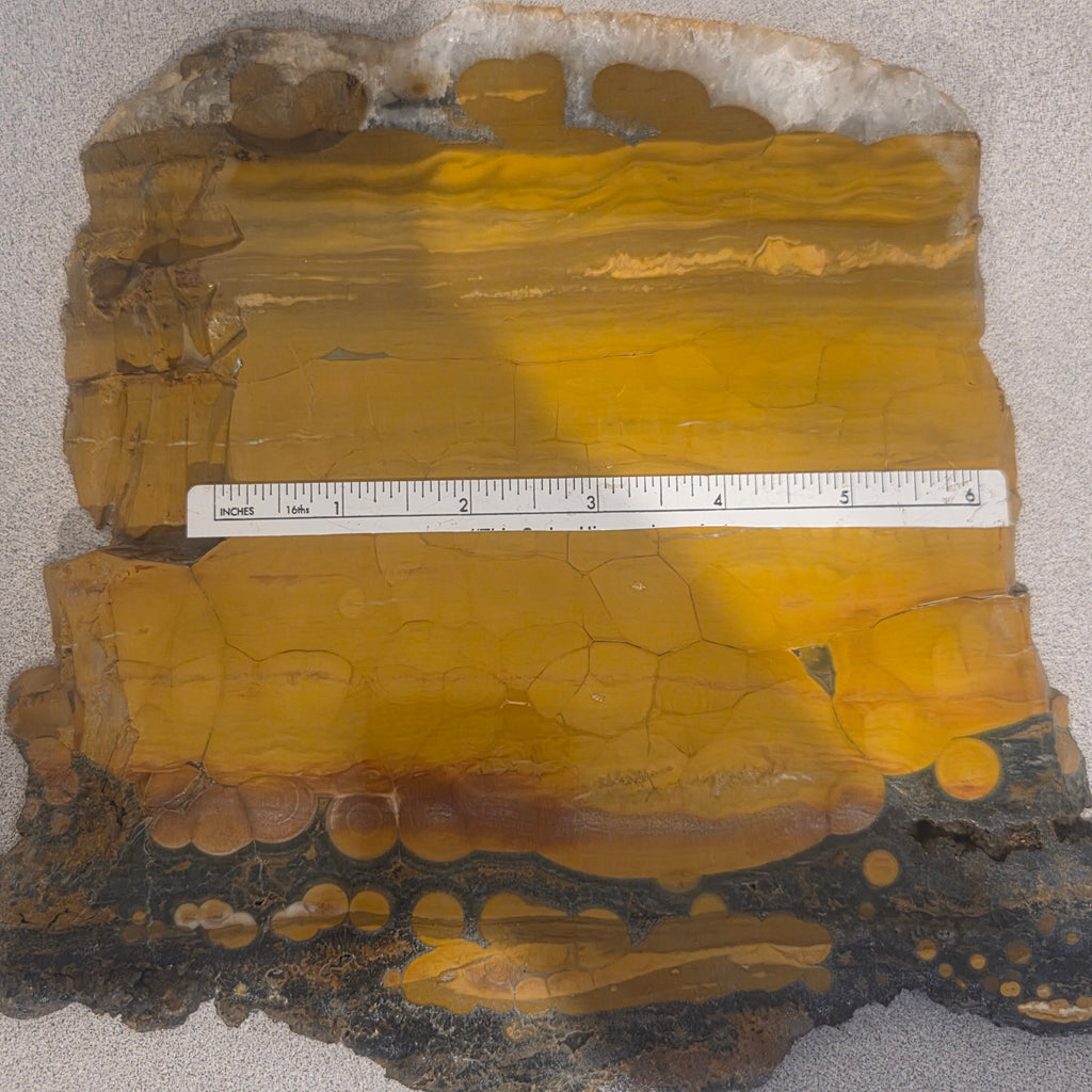 Detail of circular eye formations in Madagascar Ocean Jasper