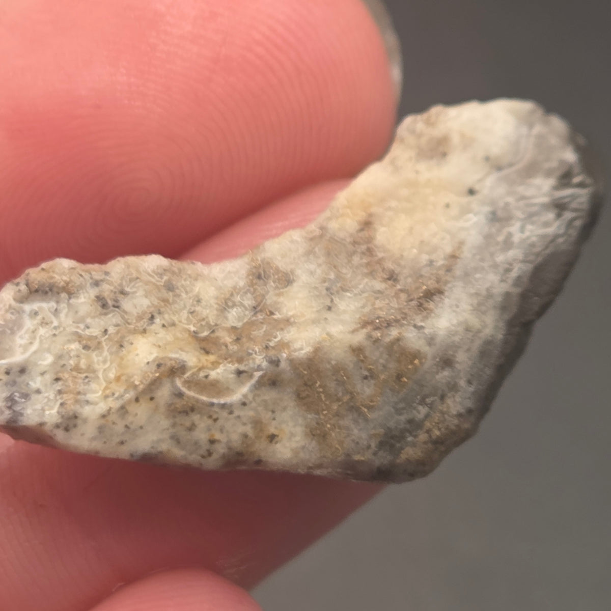 Alternate view of Native Gold in Quartz, McLaughlin Mine, California
