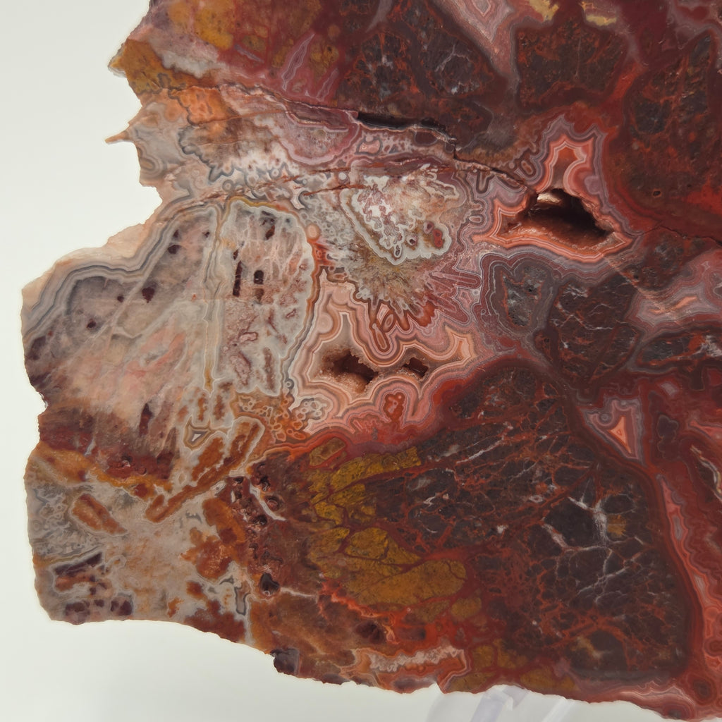 Close-up of Laguna Lace Agate Slab from Mexico
