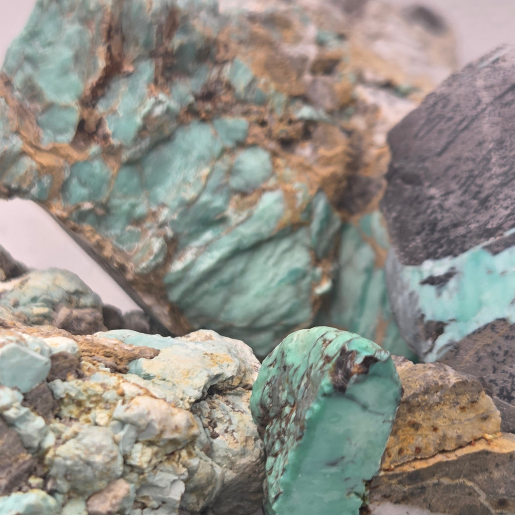 Close-up of Broken Arrow Variscite Pseudomorph Clams