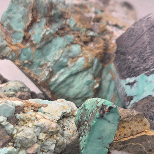 Close-up of Broken Arrow Variscite Pseudomorph Clams