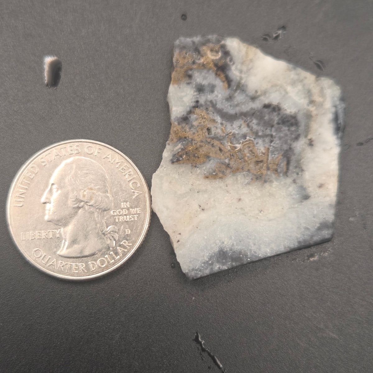 Native Gold in Quartz, McLaughlin Mine, California, 10.59 grams — natural mineral specimen