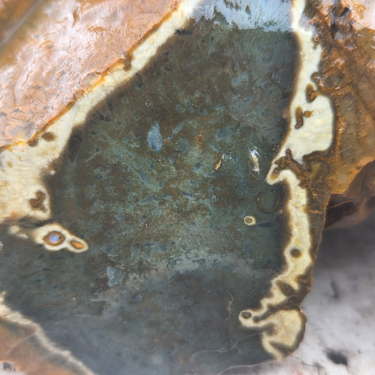 Close-up of Polychrome Jasper