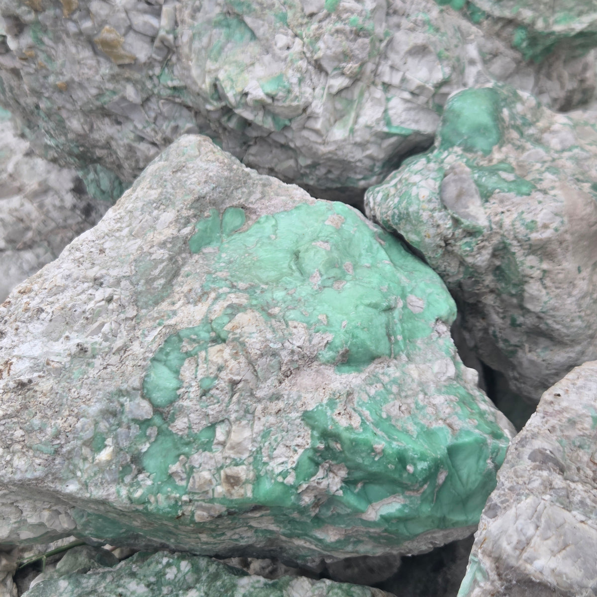 Close-up of Lucin Variscite lapidary rough