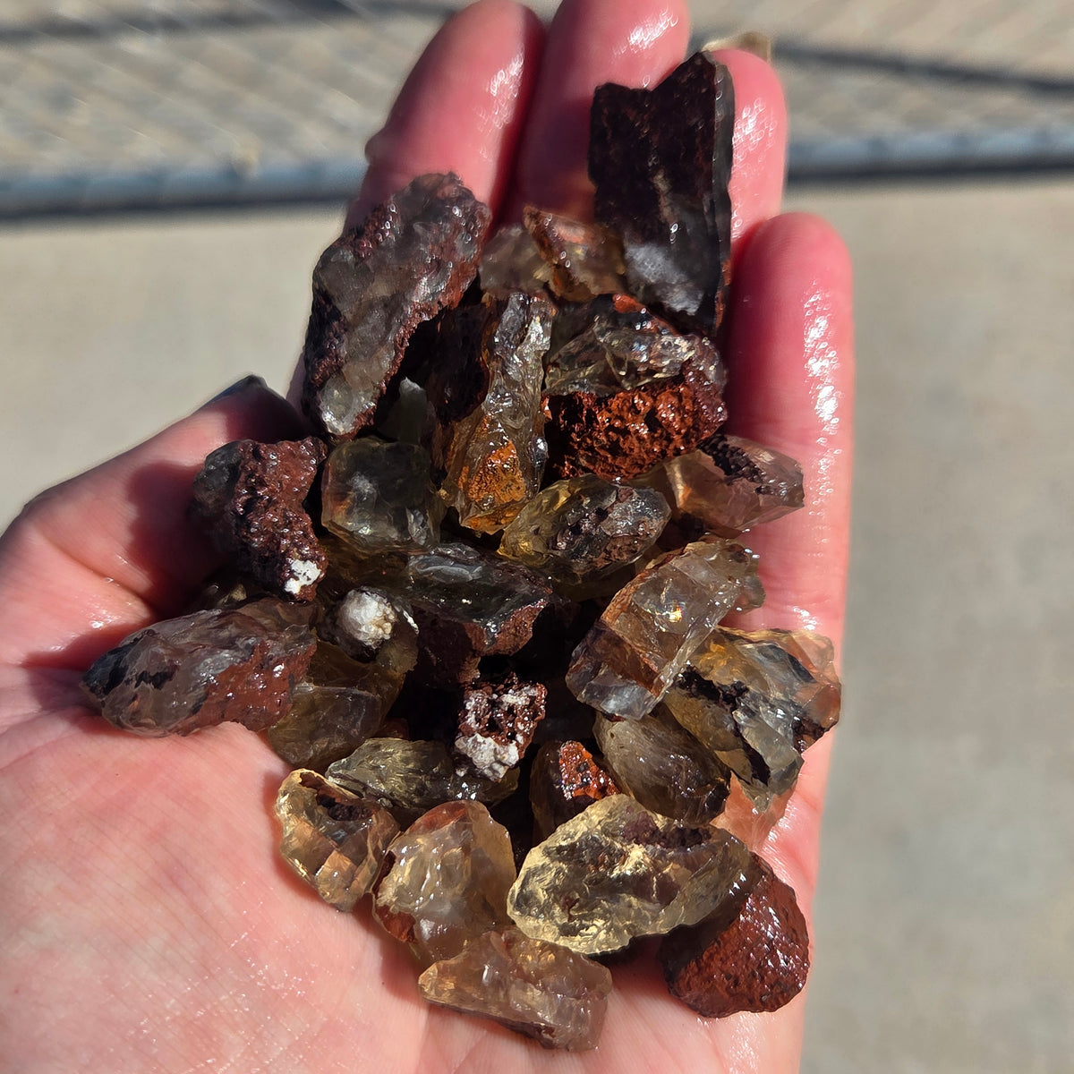 Close-up of Mine Run Oregon Sunstones