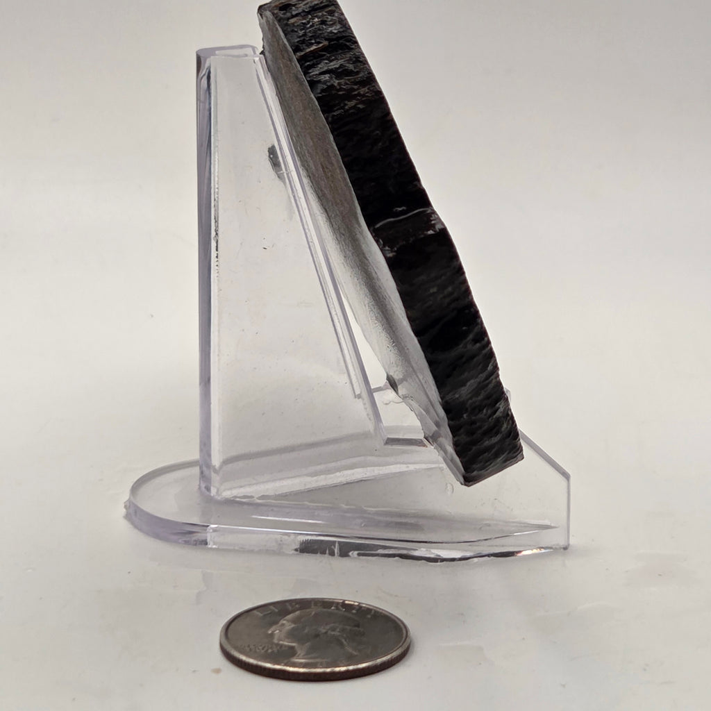 Gem Bone Slab 126 grams total, additional view