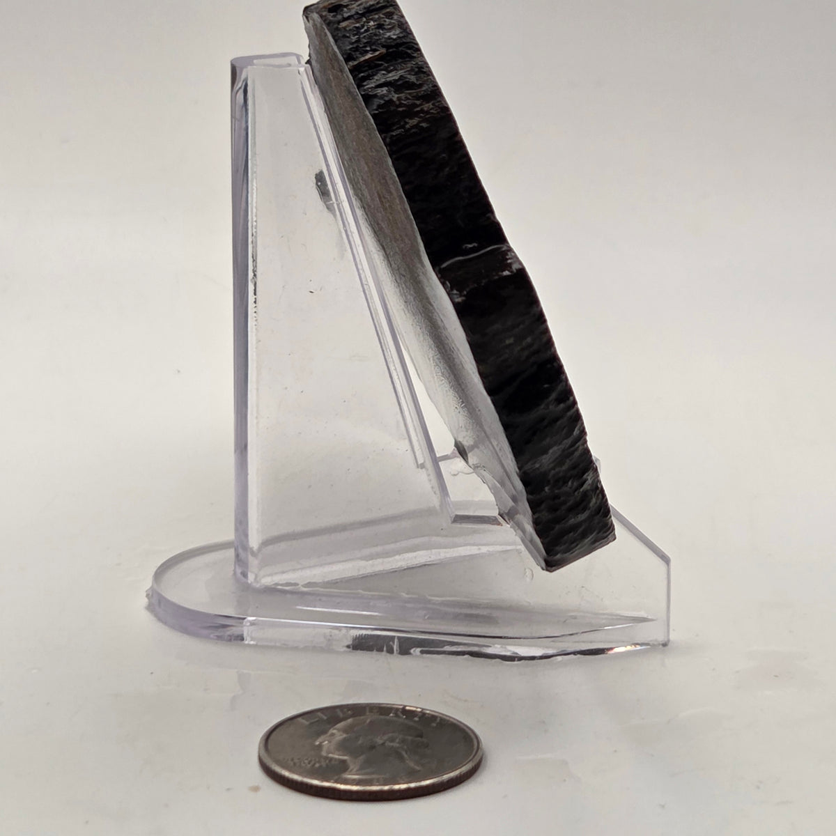 Gem Bone Slab 126 grams total, additional view