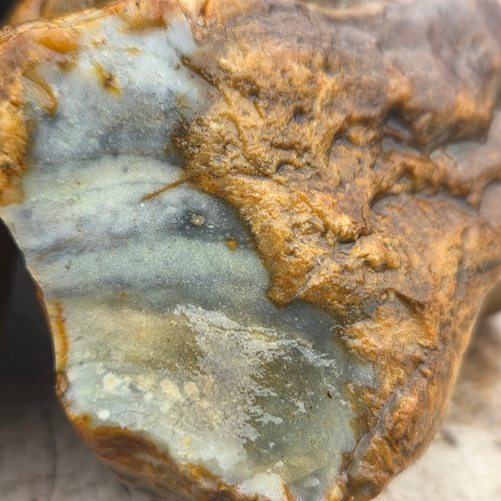 Alternate view of Polychrome Jasper