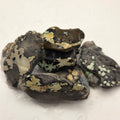 Nautilus Variscite Lapidary Rough (Sold by the Gram) — lapidary rough