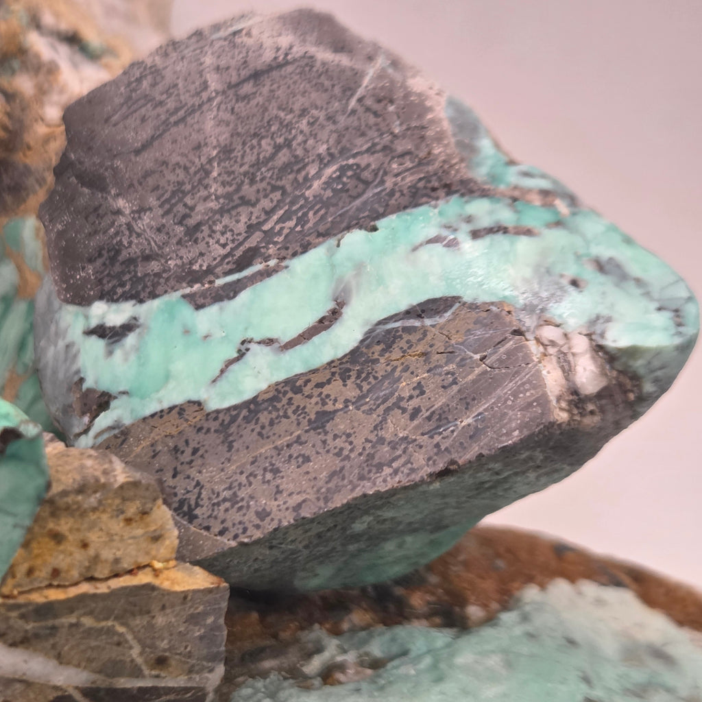Alternate view of Broken Arrow Variscite Pseudomorph Clams